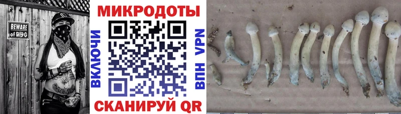 Псилоцибиновые грибы ЛСД Купить где Олонец