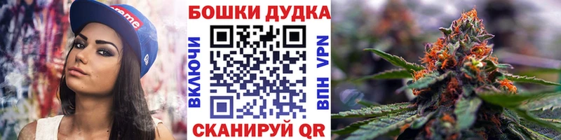 Купить Олонец Шишки марихуана Ganja